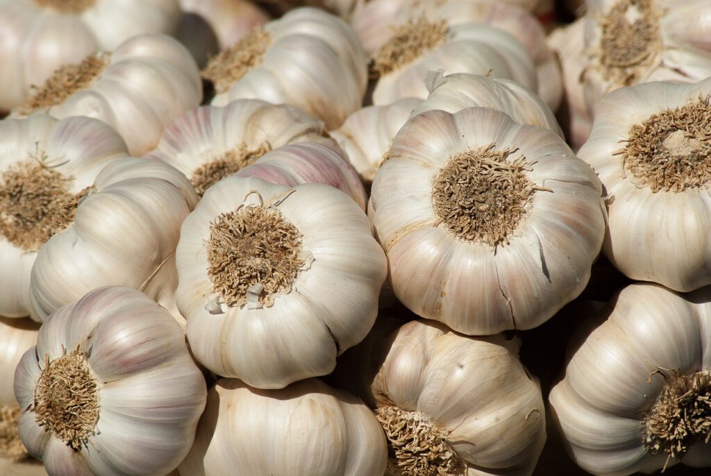 Benefits And Side Effects Of Garlic