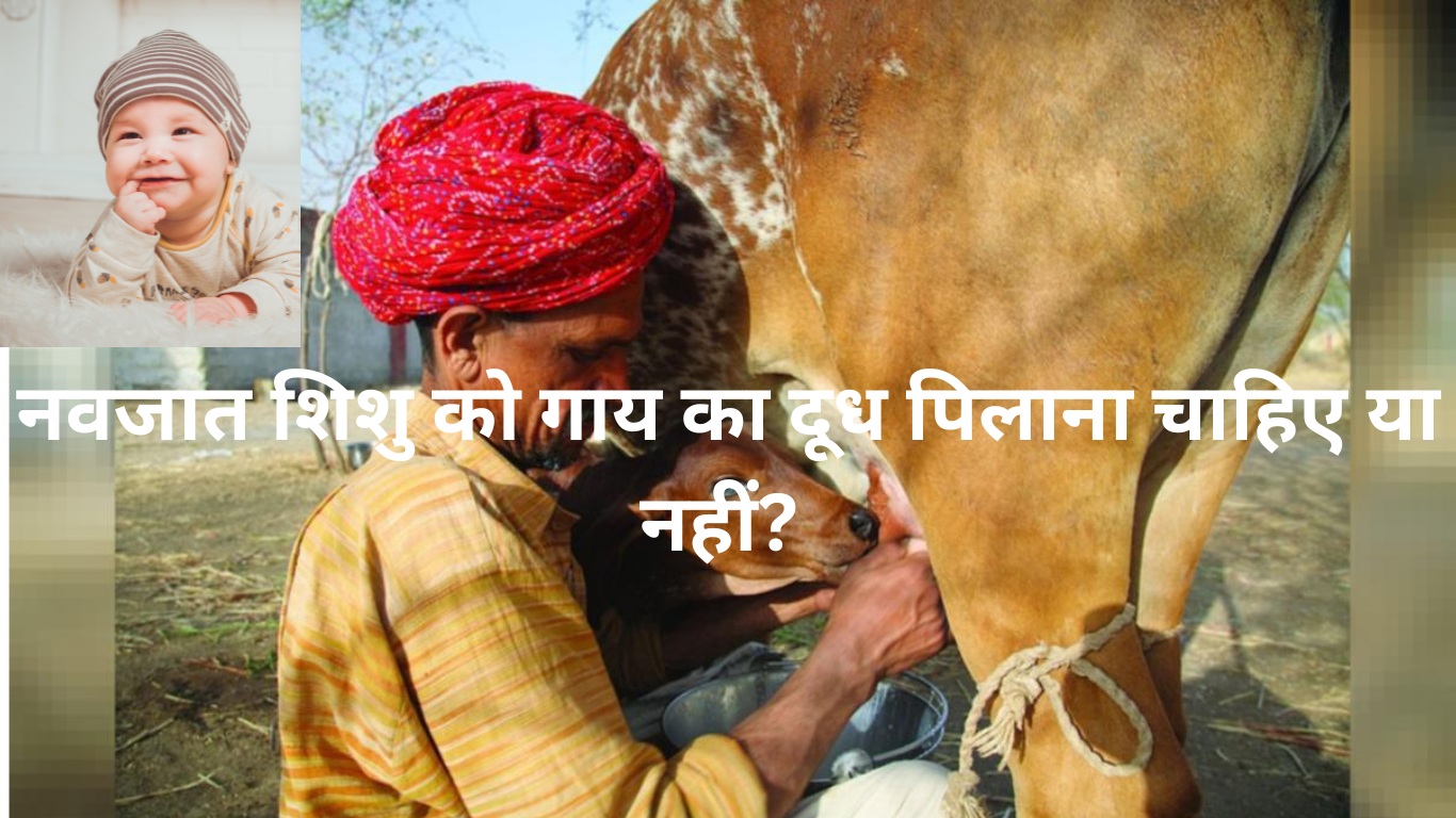 Cow Milk For Babies In Hindi